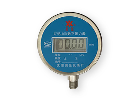 CYB-100 数字压力表